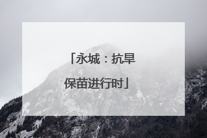 永城：抗旱保苗进行时
